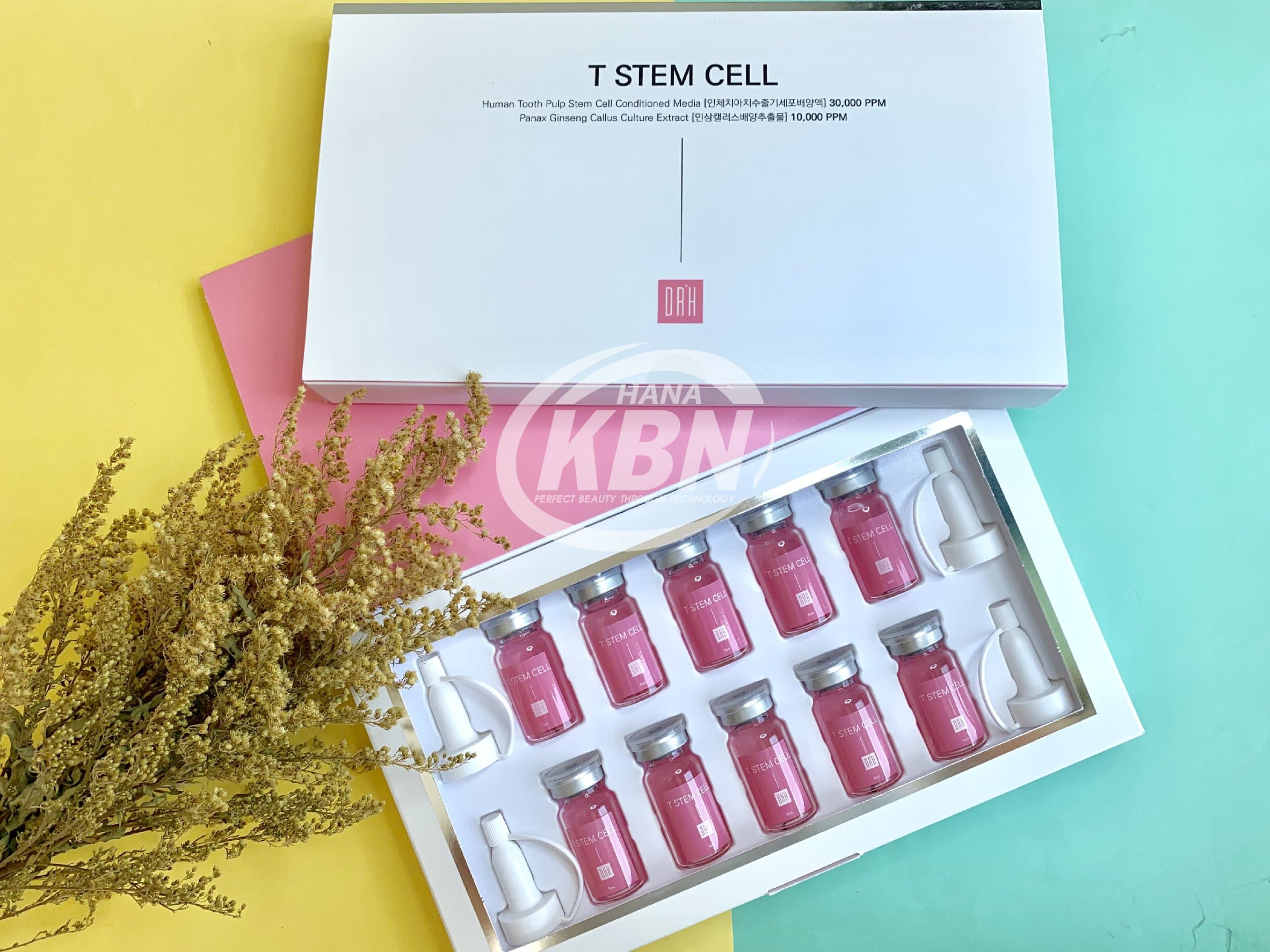 Tế bào gốc Stem Cell