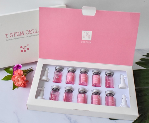 Hình ảnh tế bào gốc T STEM CELL-Hàn Quốc tại công ty HanaKBN