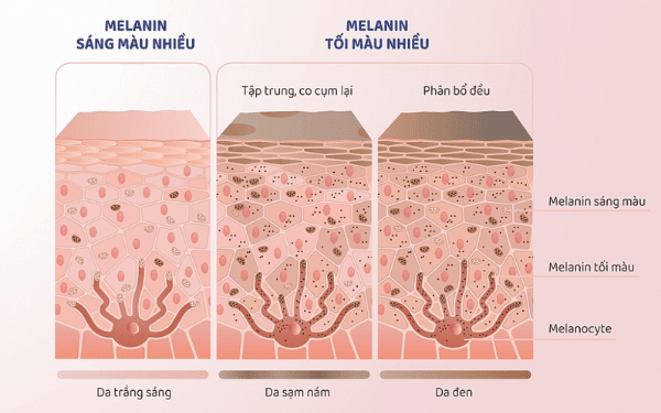 Tác động của melanin lên bề mặt da