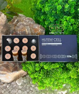 te-bao-goc-Hutem-Cell-5
