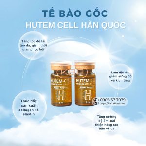 te-bao-goc-hutem-cell