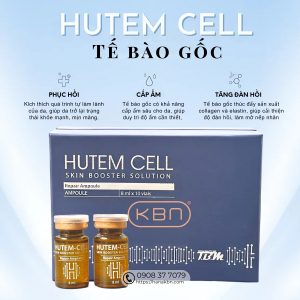 te-bao-goc-hutem-cell-phuc-hoi-da