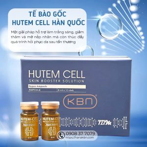 te-bao-goc-hutem-cell-tai-tao-da