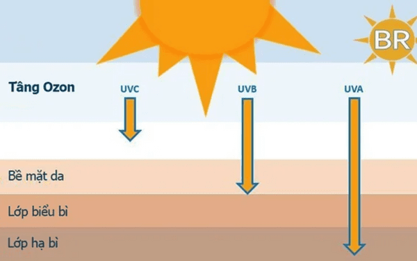 Có 3 loại tia cực tím từ ánh nắng mặt trời: UVA, UVB và UVC