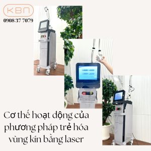 co-che-hoat-dong-cua-phuong-phap-tre-hoa-vung-kin-bang-laser