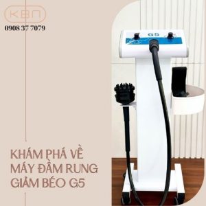 kham-pha-ve-may-dam-rung-giam-beo-g5
