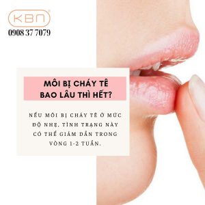 chay-te-vien-moi