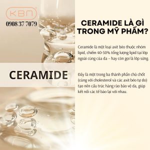 ceramide-la-gi-trong-my-pham