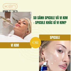 spicule-khac-gi-vi-kim