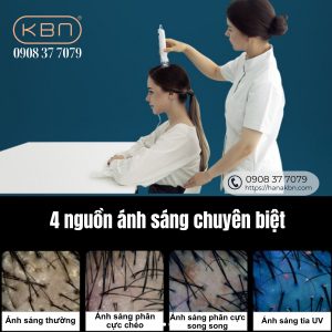 may-phan-tich-da-dau-va-toc-hive-pro-han-quoc