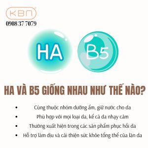 ha-va-b5-khac-nhau-nhu-the-nao