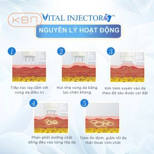 may-tiem-tinh-chat-cam-tay-vital-injector-3