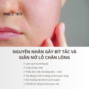 cach-lam-sach-lo-chan-long