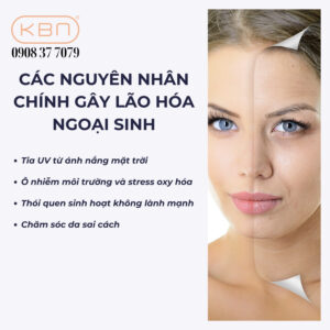 cac-nguyen-nhan-chinh-gay-lao-hoa-ngoai-sinh