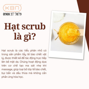 hat-scrub-la-gi