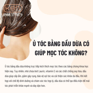 cach-u-toc-bang-dau-dua-truoc-khi-goi-dau