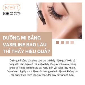vaseline-duong-mi-la-loai-nao