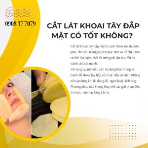 cach-lam-mat-na-khoai-tay-sua-tuoi-khong-duong